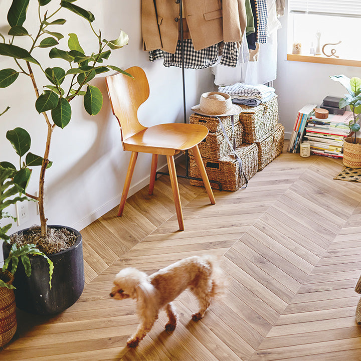 愛犬・愛猫と暮らす「理想の床」選びの正解