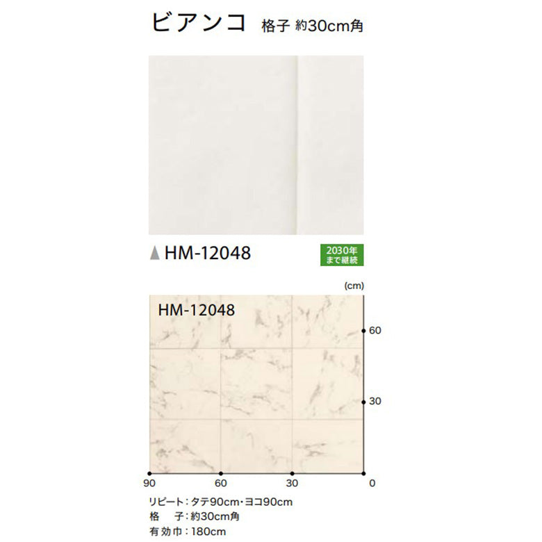 クッションフロア 10cm単位 大理石柄 HM-12048 サンゲツ ビアンコ