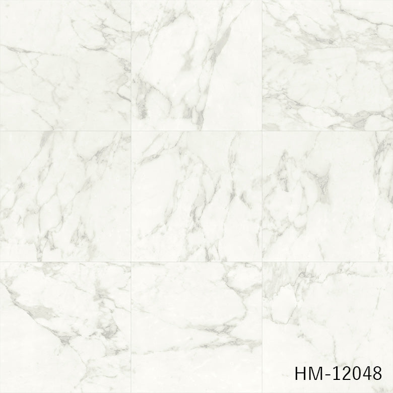 クッションフロア 10cm単位 大理石柄 HM-12048 サンゲツ ビアンコ